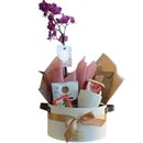 Cesta Orquídea