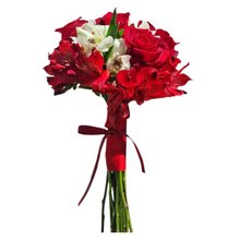 Buque Sintonia Perfeita