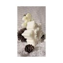 Kit Velas Aromáticas Presença Encantada