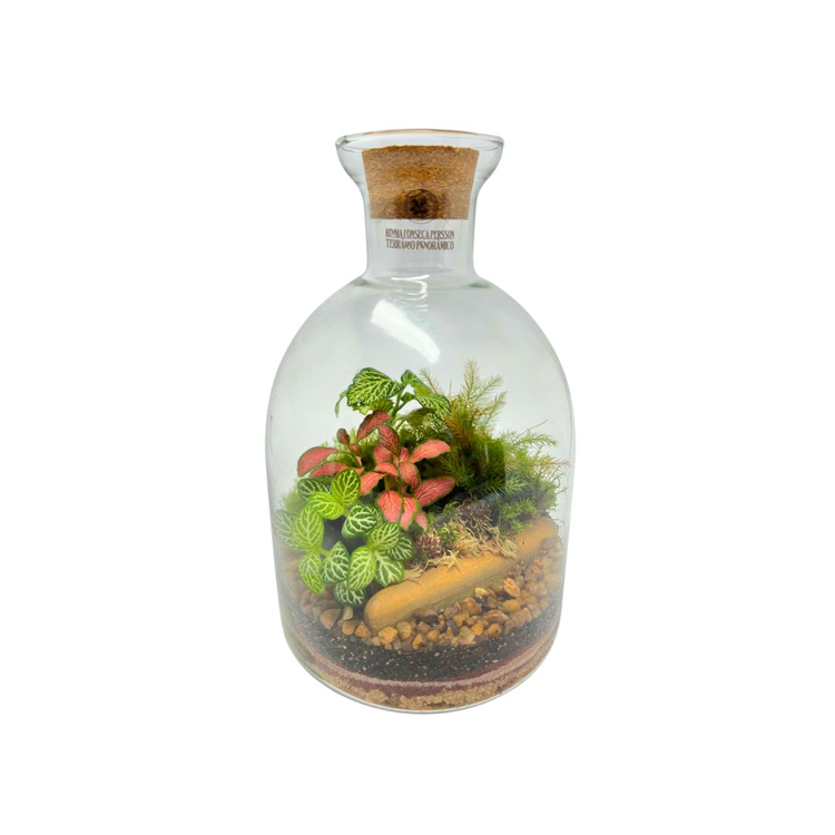 Terrário Garrafa Gerânio Médio