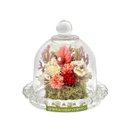 Mini Redoma Celosia