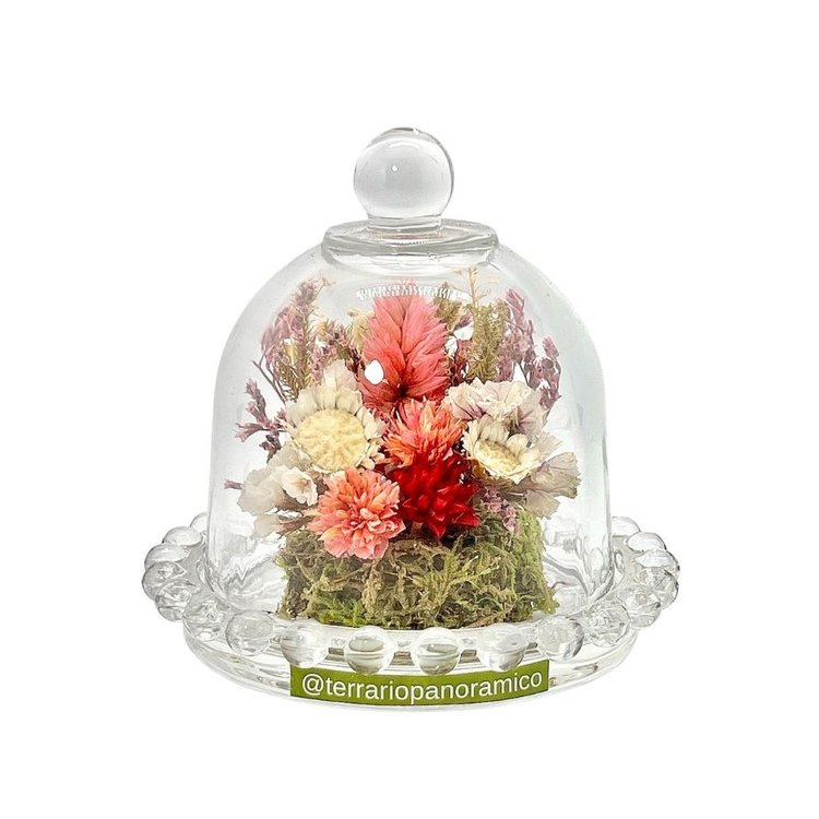 Mini Redoma Celosia