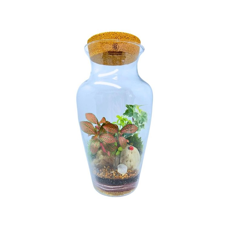 Terrário Florense Joaninha