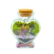 Terrário Mini Coração