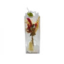 Arranjo Desidratados R Celosia