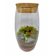 Terrário Romeu Médio