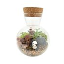 Terrário Singapura Panda