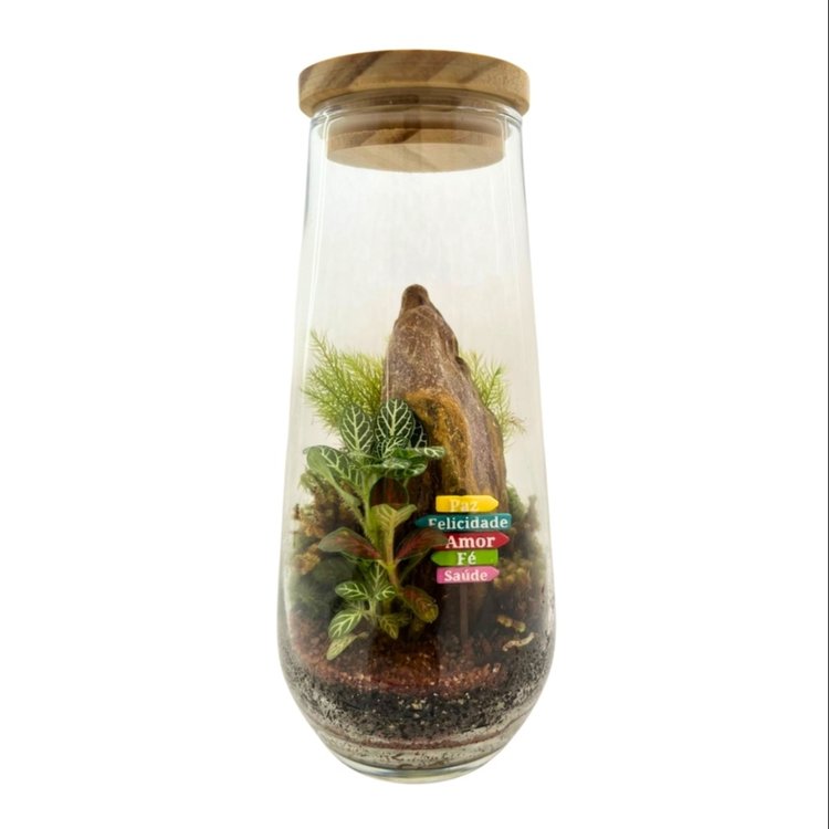 Terrário Boston Plaquinha