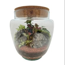 Terrário Suécia 