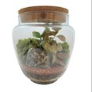 Terrário Suécia 