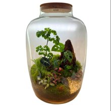 Terrário Barril Labradorita