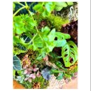 Terrário Barril Labradorita