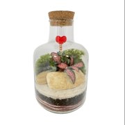 Terrário Balão do Amor