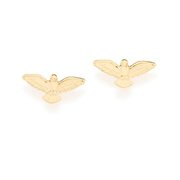 Brinco Banhado a Ouro 18k Espírito Santo