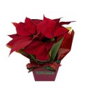 Bandeja Natal com Vaso de Flor Bico Vermelho