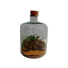 Terrário Amazônia Pequeno