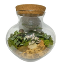 Terrário Tokyo