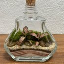 Terrário Esmeralda