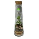 Terrário Sonhos Flutuantes