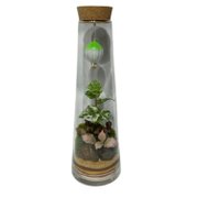 Terrário Sonhos Flutuantes
