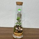 Terrário Sonhos Flutuantes