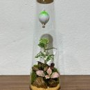Terrário Sonhos Flutuantes