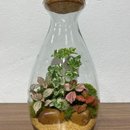 Terrário Requinte