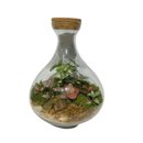 Terrário Osaka