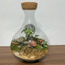 Terrário Osaka
