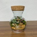 Terrário Floreira