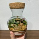 Terrário Floreira