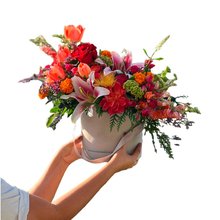 Box Elegance Média Cinza