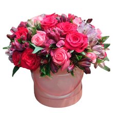 Box Elegance Média Rosa