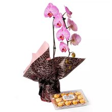 Orquídea Mesclada com Ferrero Rocher