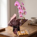 Orquídea Mesclada com Ferrero Rocher