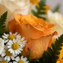 Buquê de Mix de Flores Amarelas 