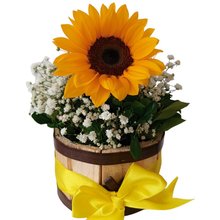 Arranjo de Girassol no Cachepot de Madeira