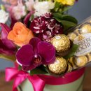 Box de Orquídea com Flores Mistas - Luxo