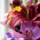 Box com Flores Mistas e Orquídea - Elegante