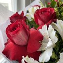 Buquê com 6 Rosas na Cor Vermelha - Especial