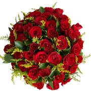 Buquê com 50 rosas na cor vermelha