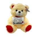 Pelúcia Urso Te Amo