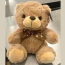 Pelúcia Mini Urso Marrom Com Laço de Bolinha