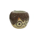Caneca Harry Potter 