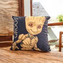 Almofada Fibra Veludo GROOT