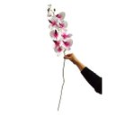 Haste Orquidea com 09 botões - Branco com Rosa