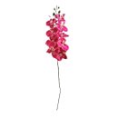 Haste Orquidea com 09 botões Pink Escuro