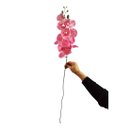 Haste de Orquídea com 07 botões na cor Rosa