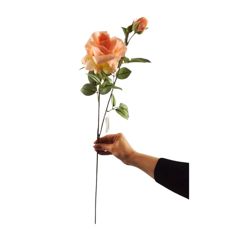 Galho de Rosa