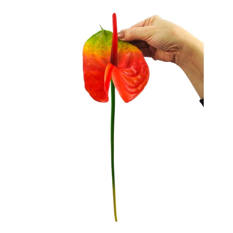 Haste de Anturio Vermelho